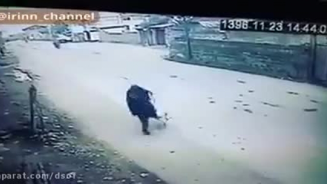 حمله سگ ولگرد به دختر دانش آموز | فیلم دفاع دختر از خودش 