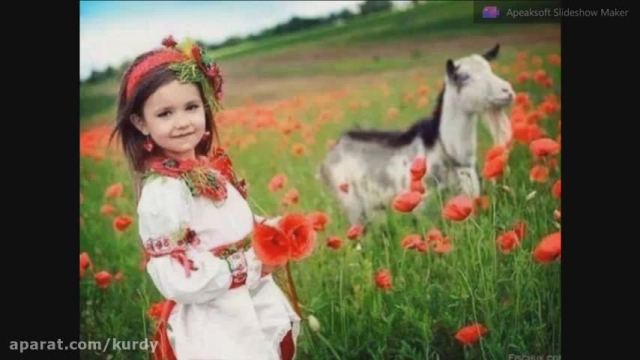 آهنگ Şahiya Stranan - Nazewicim - موزیک جدید و دلنشین کردی