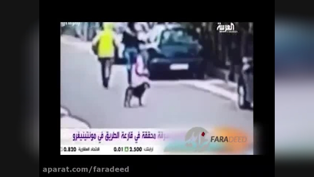 دفاع سگ ولگرد از یک زن در برابر حمله دزدها | فیلم دوربین های مداربسته