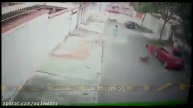 حمله سگ ولگرد به یک کودک و پدر در خیابان  + فیلم دوربین مداربسته 