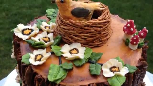 آموزش جدید با  ایده تزیین کیک به شکل تنه درخت با لانه پرنده و گلهای زیبا