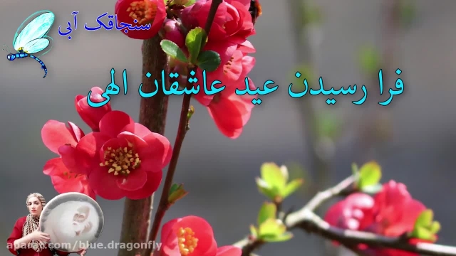ویدیو بسیار زیبا درباره عید سعید فطر مخصوص استوری اینستاگرام !
