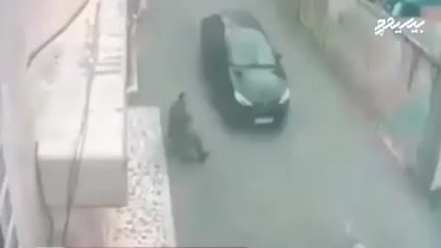 لحظه حمله سگ ولگرد به مرد آملی | فیلم کامل 