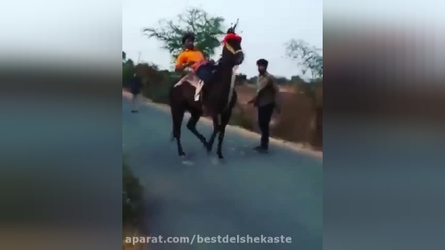 تک چرخ زدن با اسب!