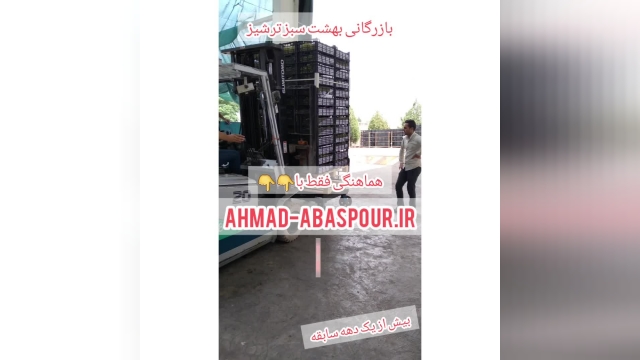 مرکز فروش انگور صادراتی ایران انگور بی دانه کاشمر پیکامی ، توسط احمد عباس پور