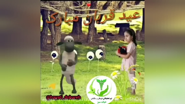 کلیپ طنز تبریک عید سعید قربان || کلیپ عید قربان 1401