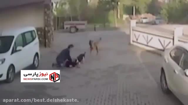 حمله سگ ولگرد به دختر ایرانی+ حمله سگ در خیابان 