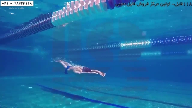  تکنیک های شنا دلفینی - سه نکته برای بهبود سرعت در شنا
