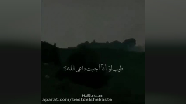 دانلود ویدیو ای از تلاوت قران از منصور سالمی سوره احقاف آیه 31