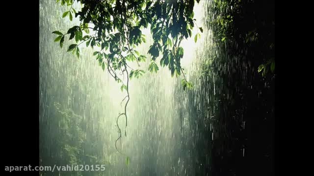 کلیپ صدای باران برای استوی اینستا و وضعیت واتساپ