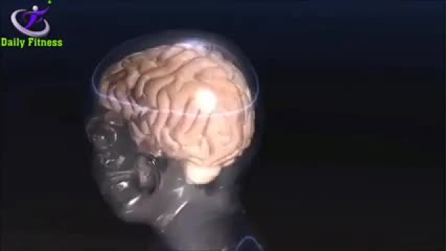 افزایش قدرت مغزی چگونه امکان پذیر است؟؟؟