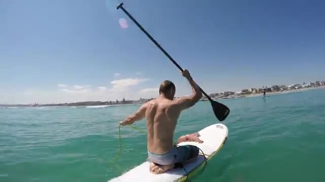 دانلود ویدیو ای از پیدا کردن هشت پای غول پیکر هنگام موج سواری